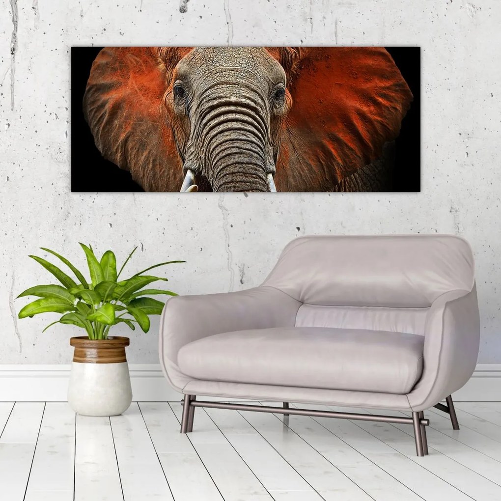 Tablou - Elefanți cu Tsavo (120x50 cm)