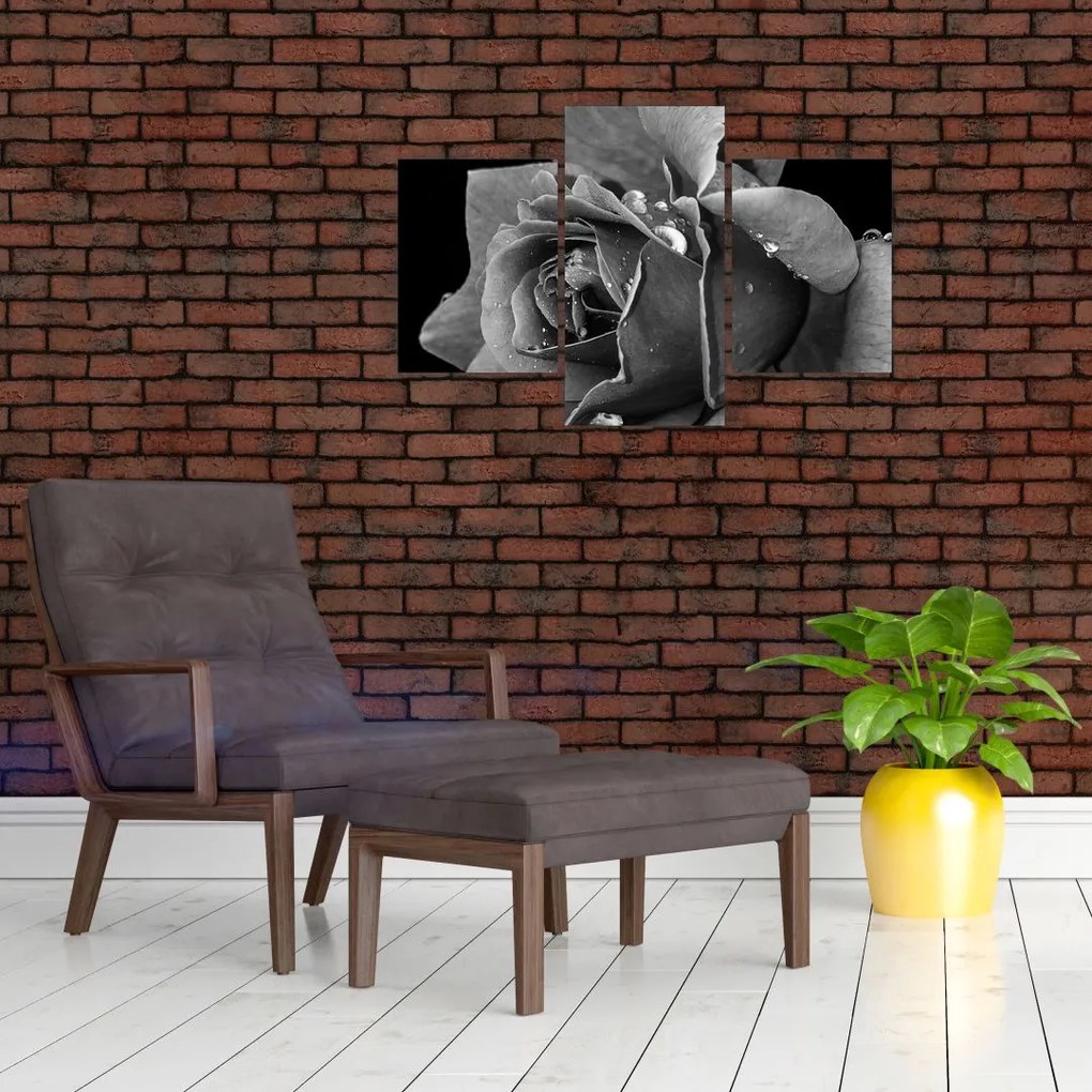 Tablou cu trandafir - albneagră (90x60 cm)