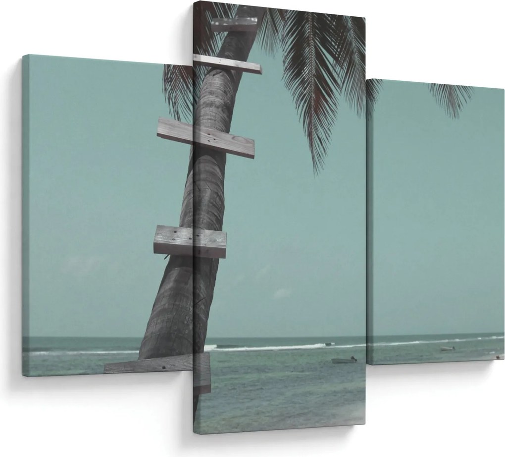 Tablou - Palma în Caraibe (90x60 cm)