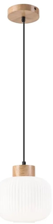 Lustră pe cablu HARMONY 1xE27/15W/230V d. 20 cm alb/stejar