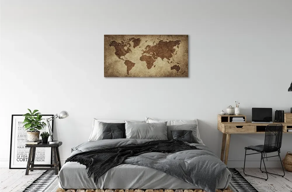 Tablouri canvas harta gri