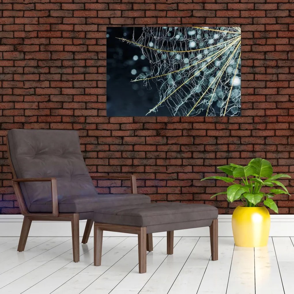 Tablou - Floare cu pânză de pâianjen (90x60 cm)