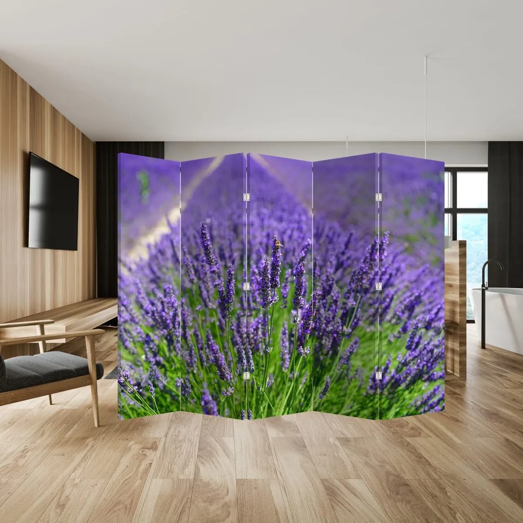 Paravan - Lavanda (210x170 cm)