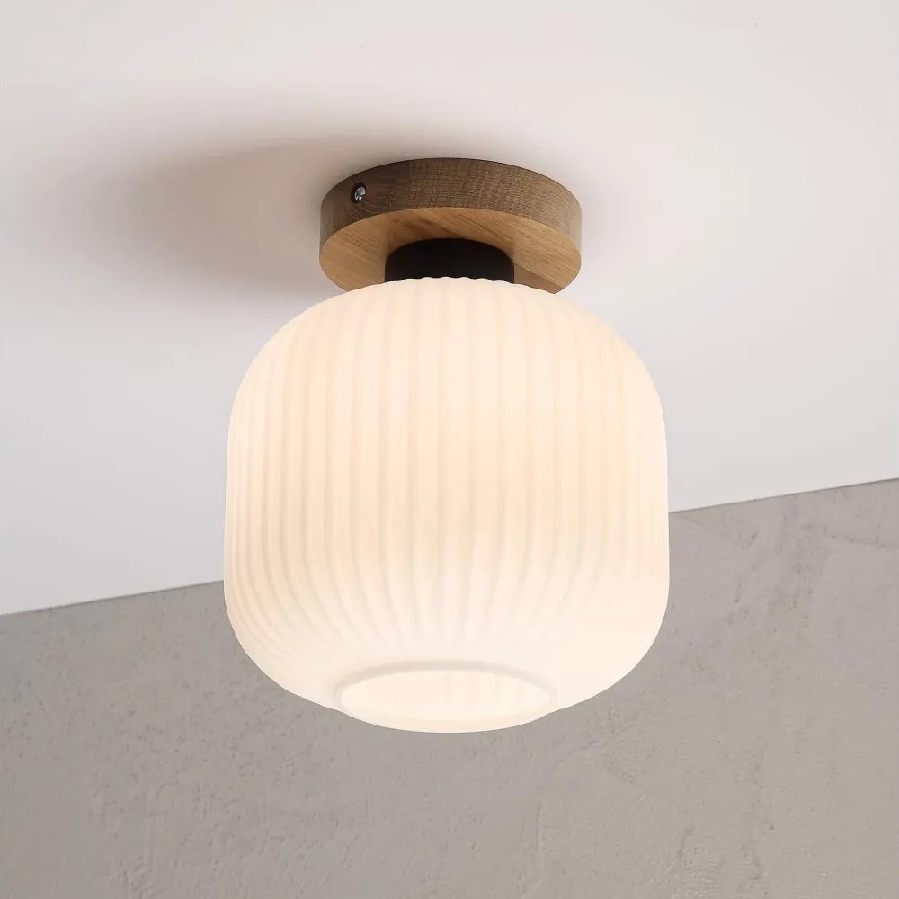 Plafonieră HARMA WOOD 1xE27/15W/230V stejar/alb Ø 20 cm