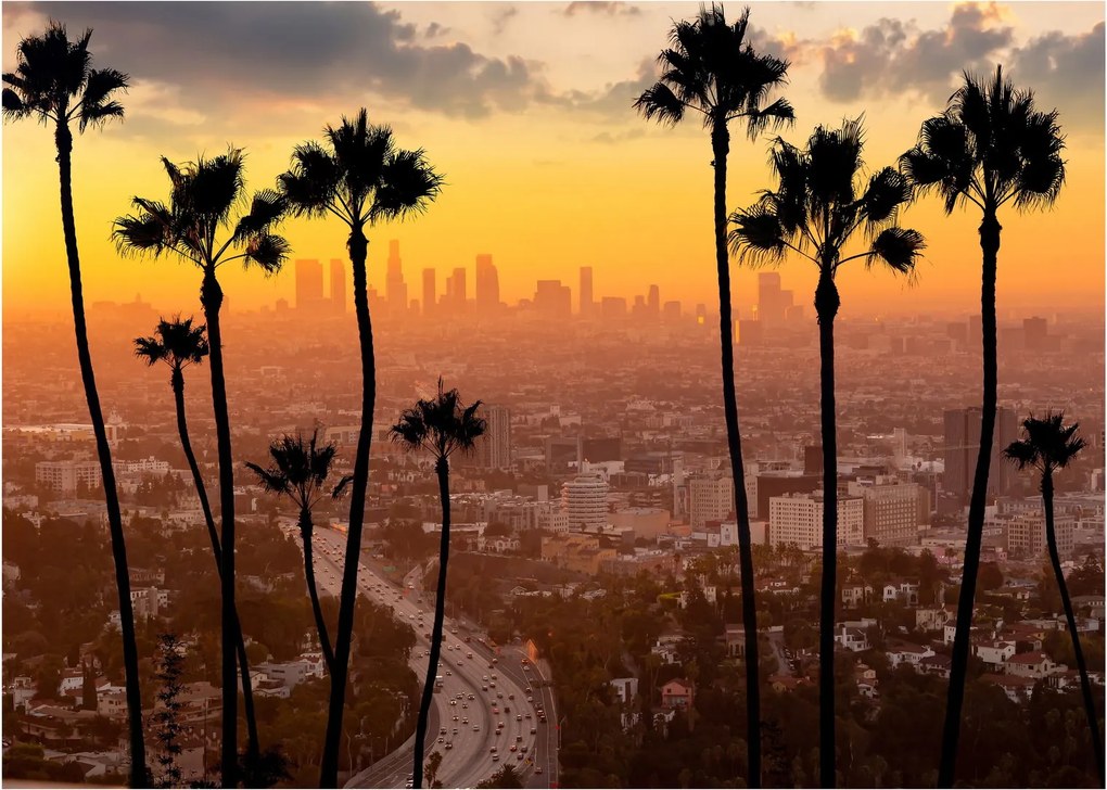 Tablou pe sticlă - Panorama din Los Angeles (70x50 cm)