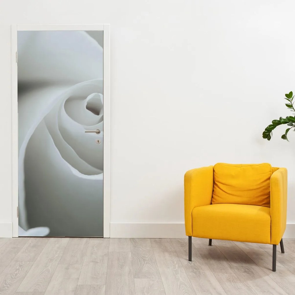 Fototapet pentru ușă - Trandafir alb (95x205cm)