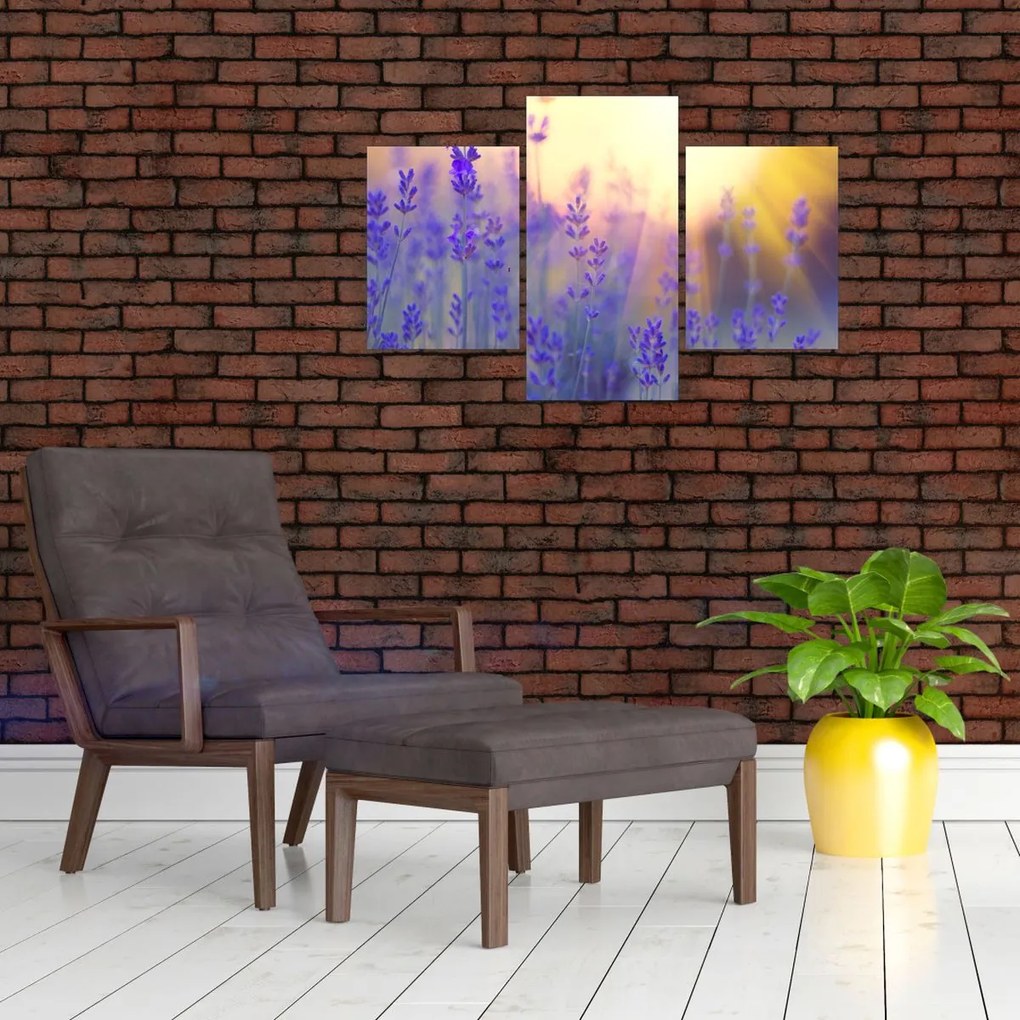 Tablou - Levănțică (90x60 cm)