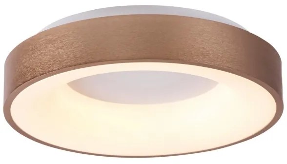 Rabalux 5053 - Plafonieră LED CARMELA LED/50W/230V