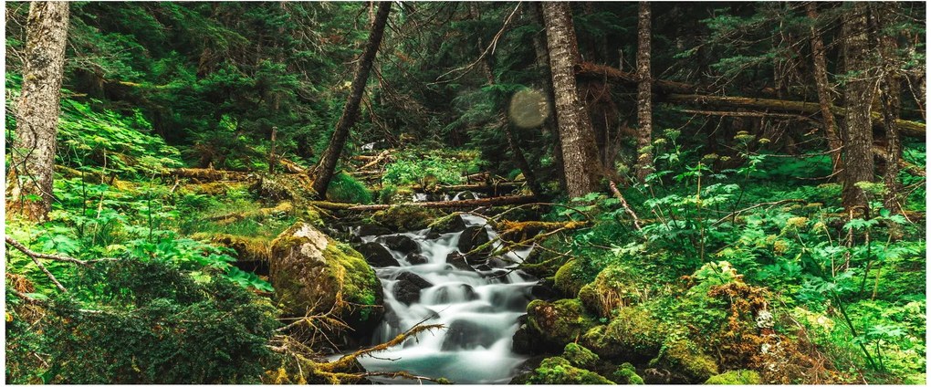 Tablou cu pârău în pădure (120x50 cm)