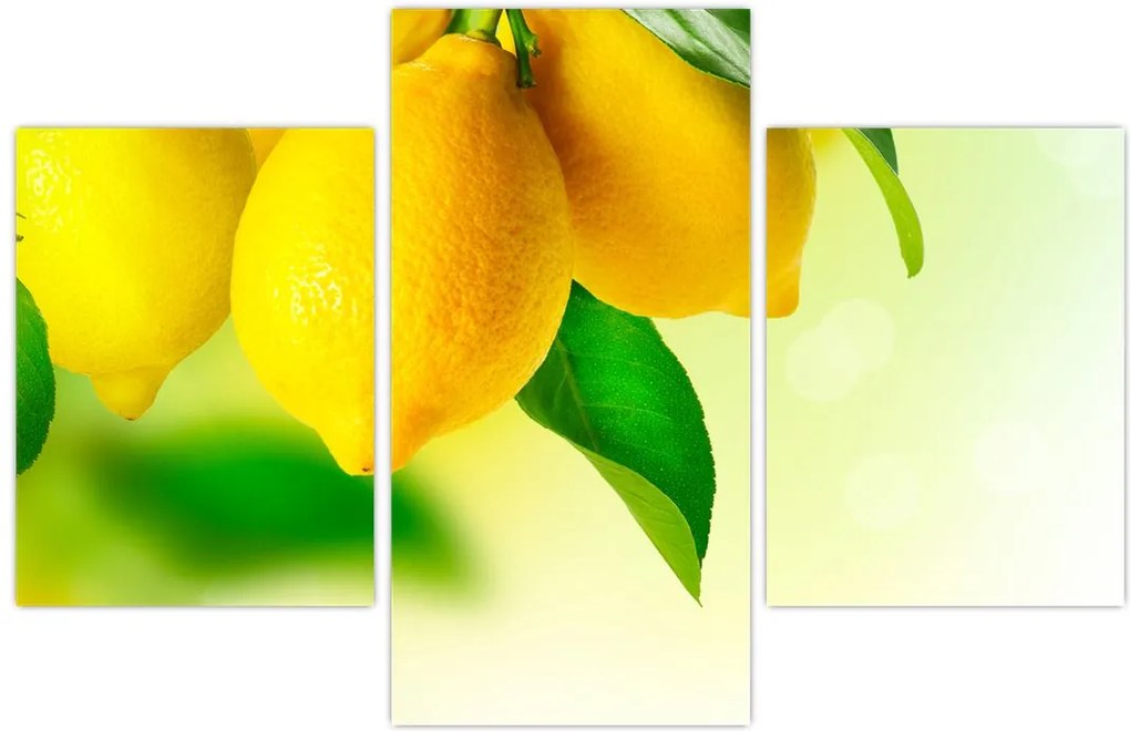 Tablou cu lămâi (90x60 cm)