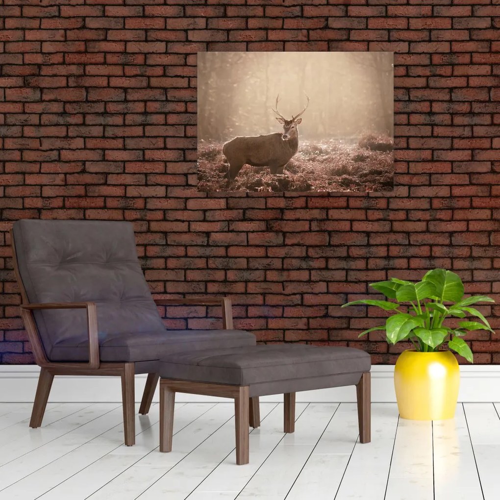 Tablou - Cerb în pădure (70x50 cm)