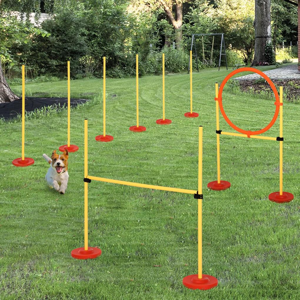 PawHut Set de Antrenament Agilitate pentru Câini cu Obstacole și Inel, Echipament Complet pentru Dresaj, Portocaliu/Alb | Aosom Romania