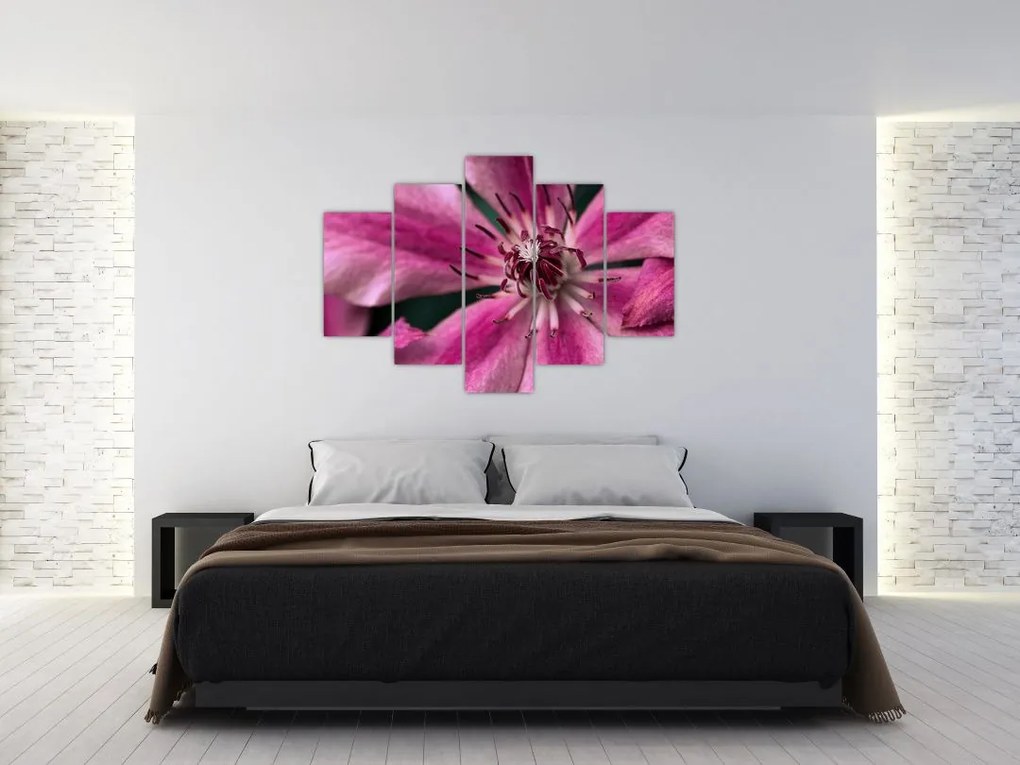 Tablou cu floarea roz de clematis (150x105 cm)