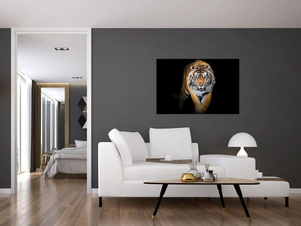 Tablou - Tiger (90x60 cm)