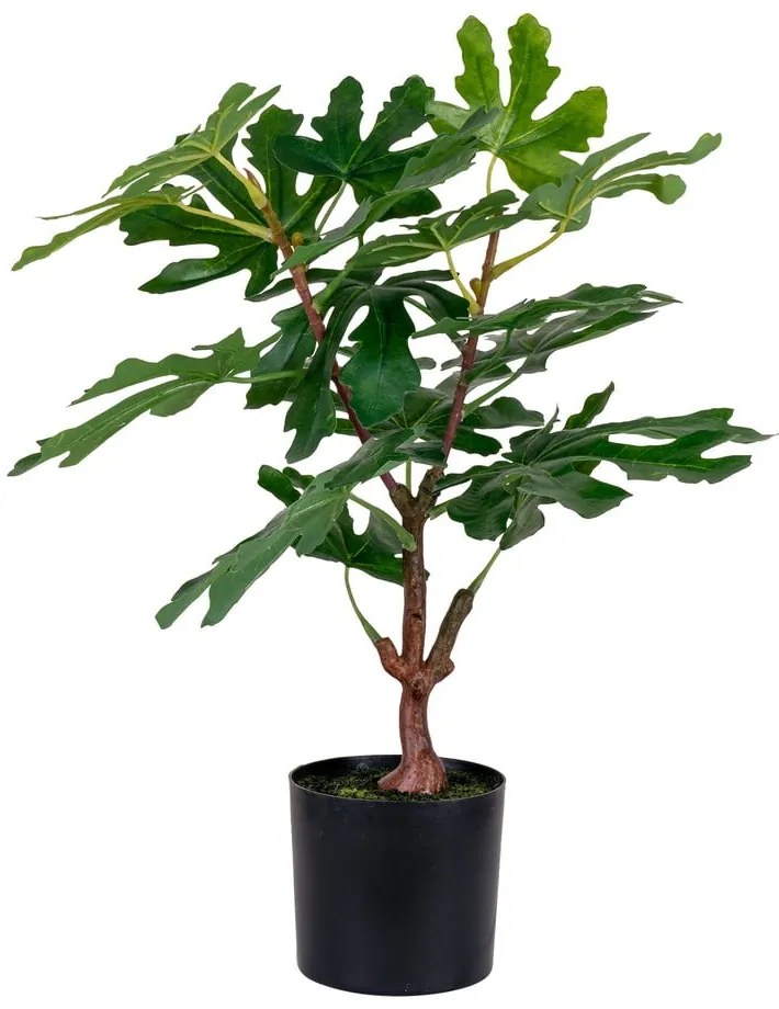 Plantă artificială (înălțime 60 cm) Fig – House Nordic
