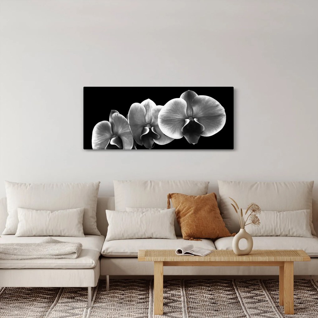 Tablou floare de orhidee (120x50 cm)