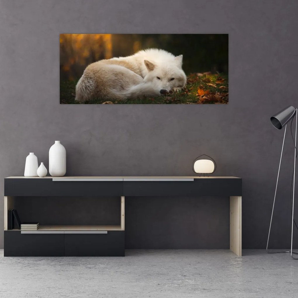 Tablou - Lupul care se odihnește (120x50 cm)