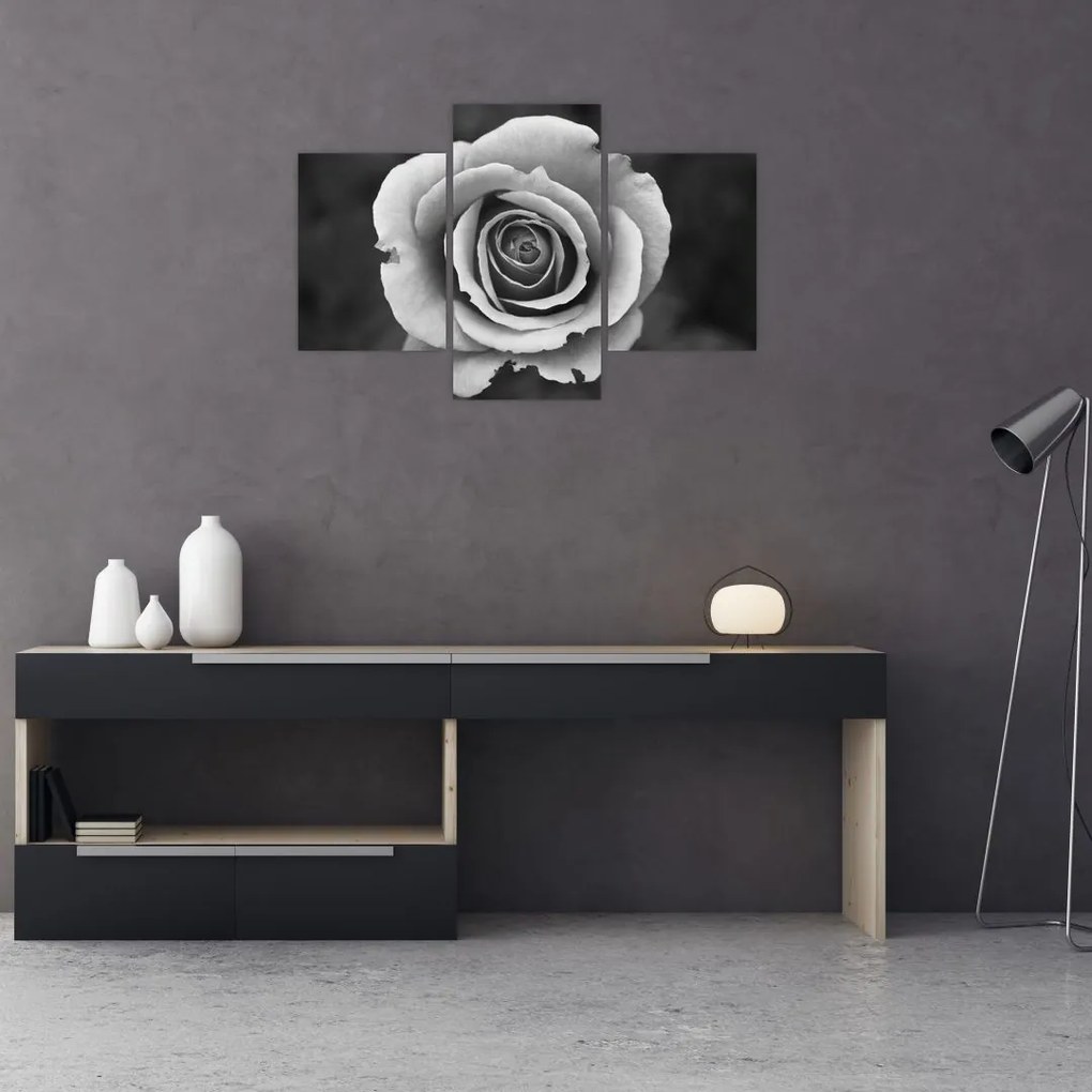 Tablou - Trandafir (90x60 cm)
