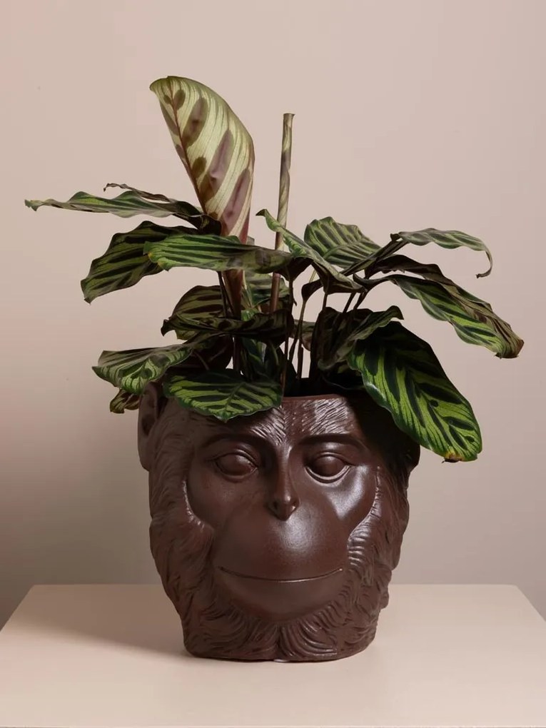 Vas decorativ din ceramică ⌀ 25.5 cm, „Primate”