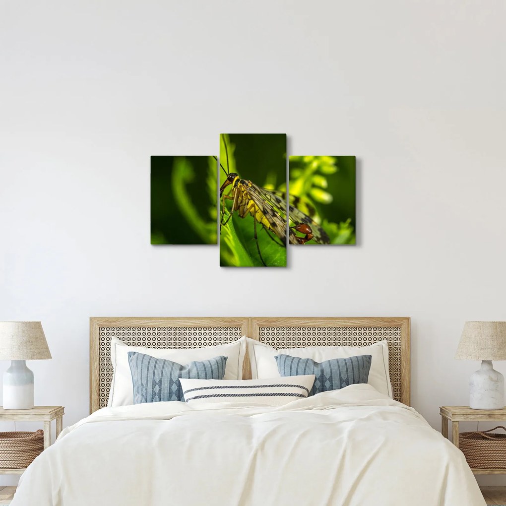 Tablou cu omide (90x60 cm)