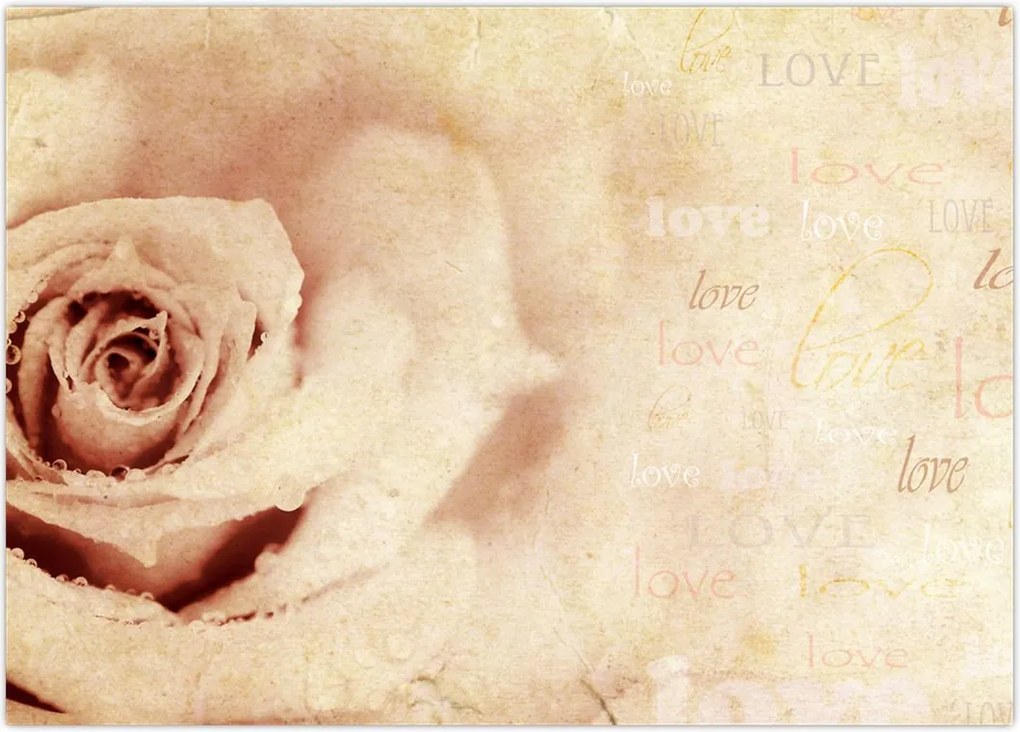 Tablou - floare de trandafir pentru îndrăgostiți (70x50 cm)