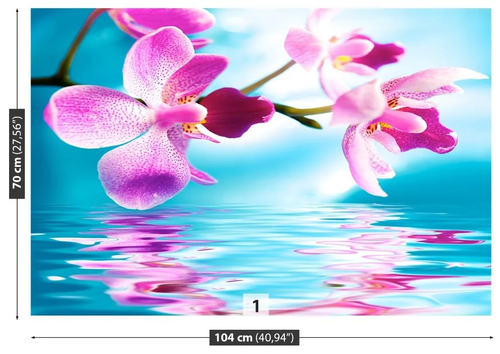 Fototapet Orhideea de apă