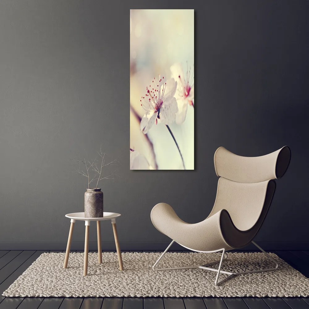 Imprimare tablou canvas Flori de cireș