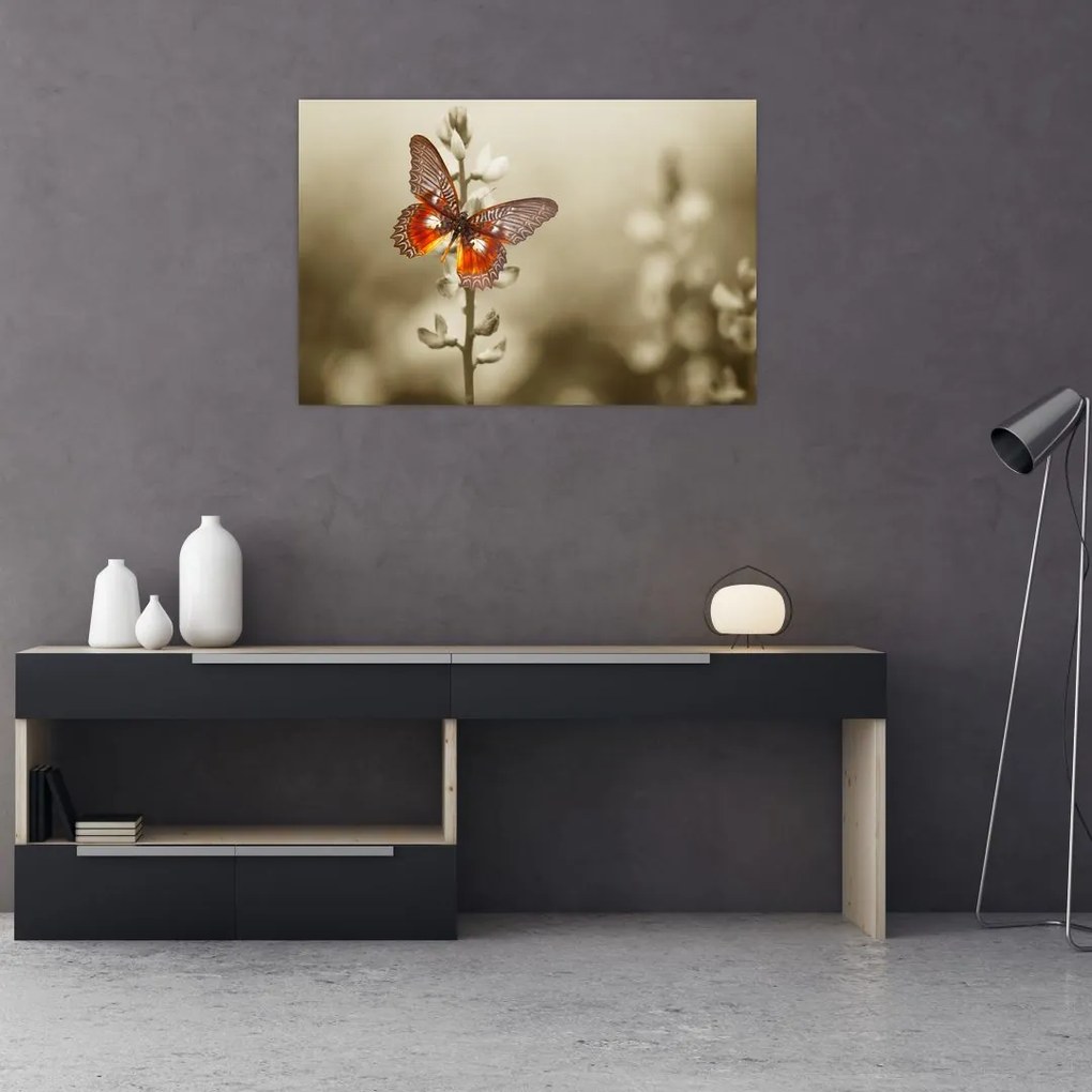 Tablou cu fluture (90x60 cm)