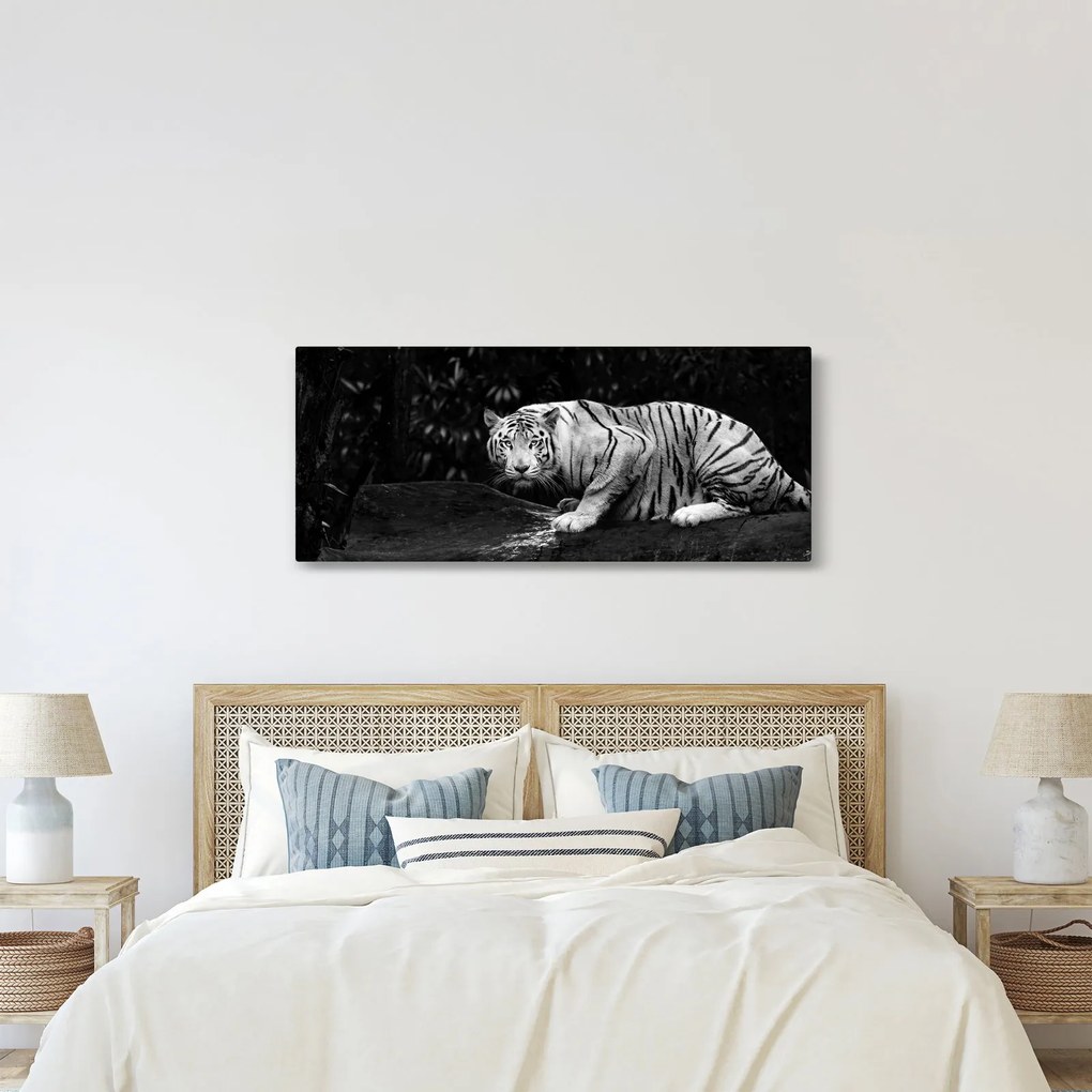 Tablou - Tigru alb, alb-negru (120x50 cm)