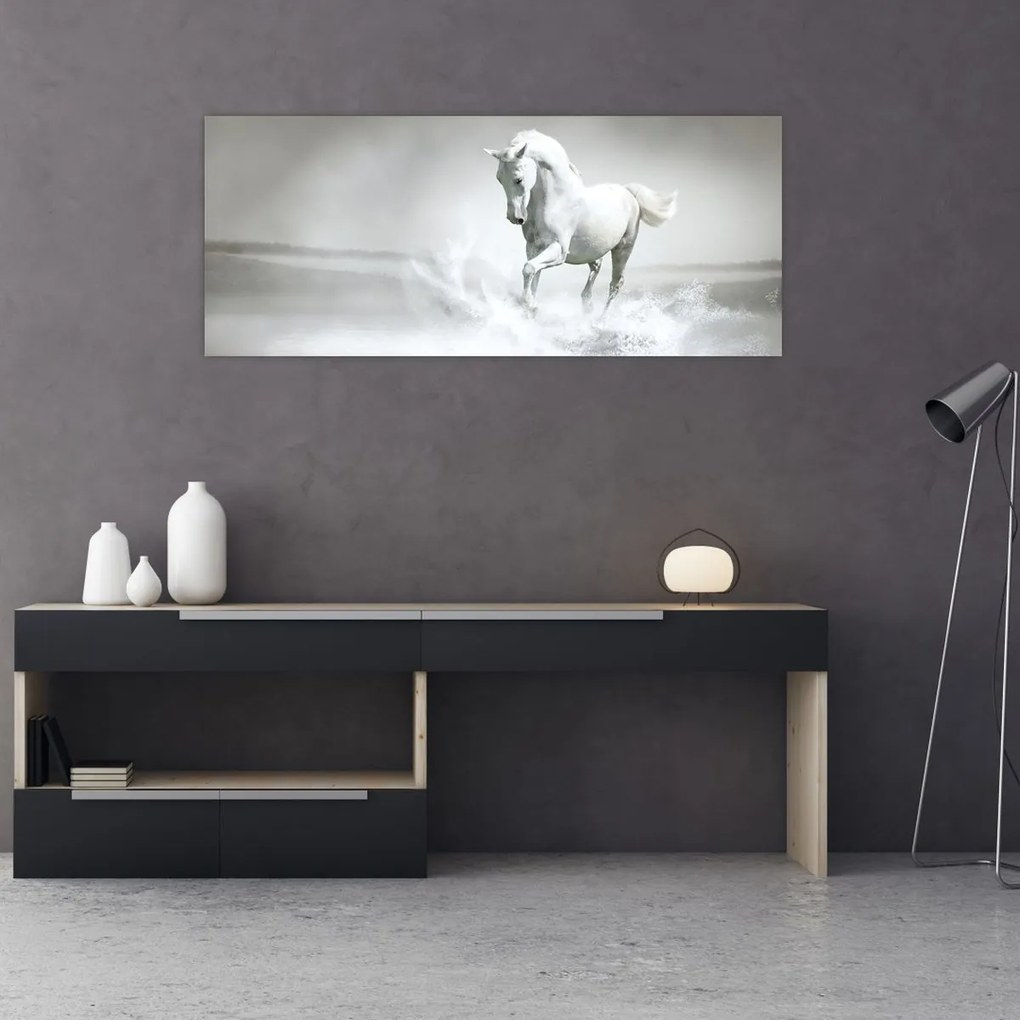 Tablou - Cal alb (120x50 cm)