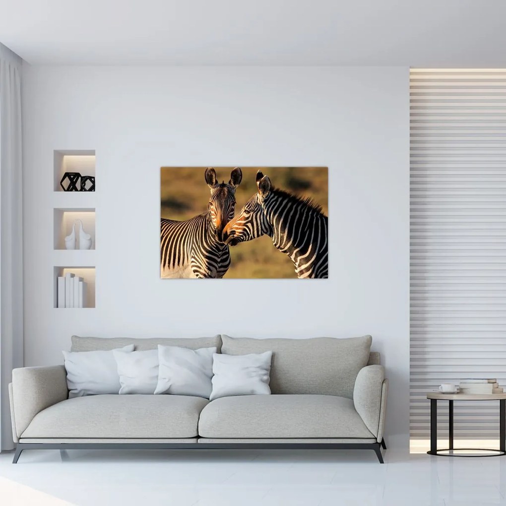 Tablou - Două zebre (90x60 cm)