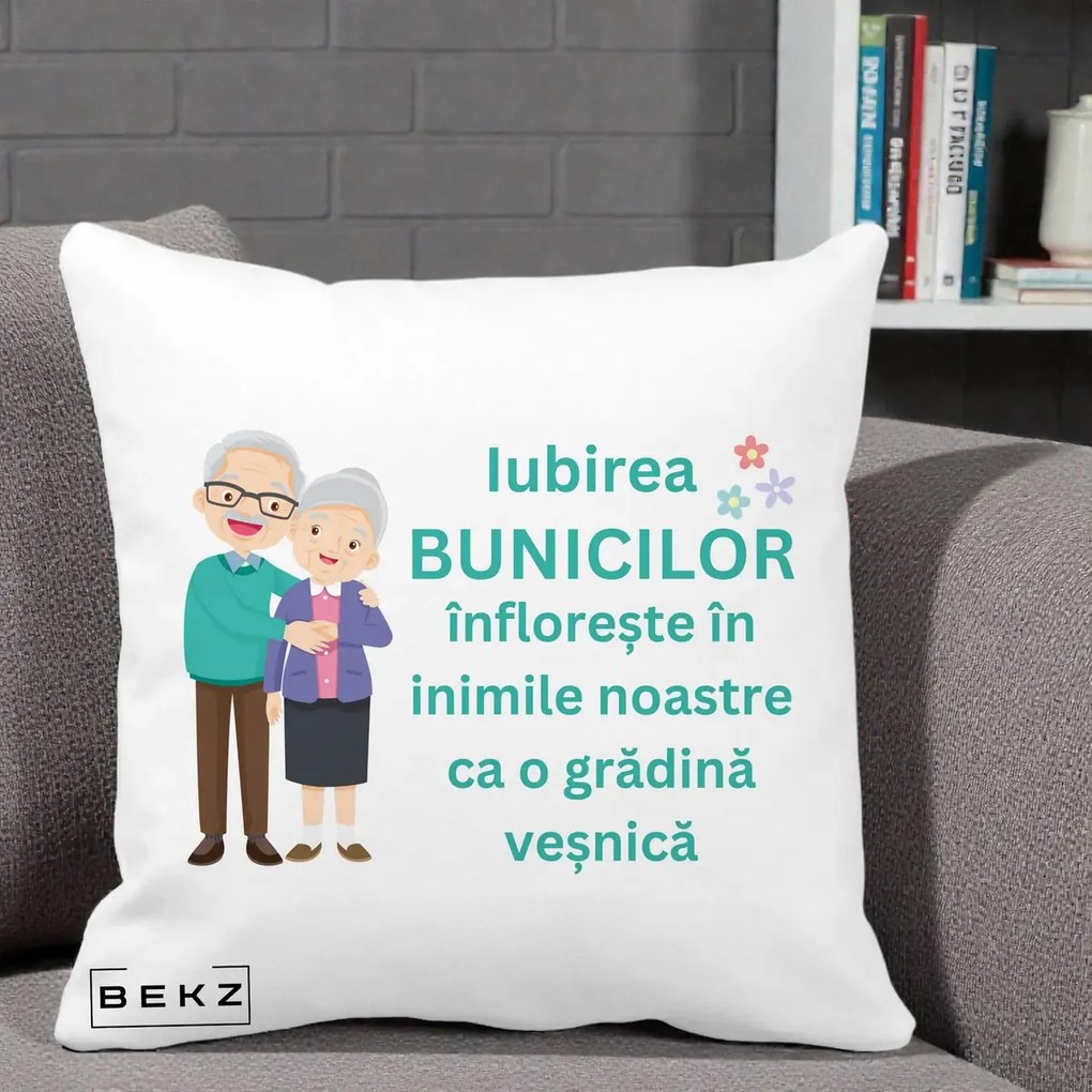 Cadou pentru Bunici - Perna Personalizata Bunicii Iubirea Infloreste Cuplu Senior Teal, 40x40 cm, Alba Mata, Husa Detasabila, Perna Inclusa, BEKZ®