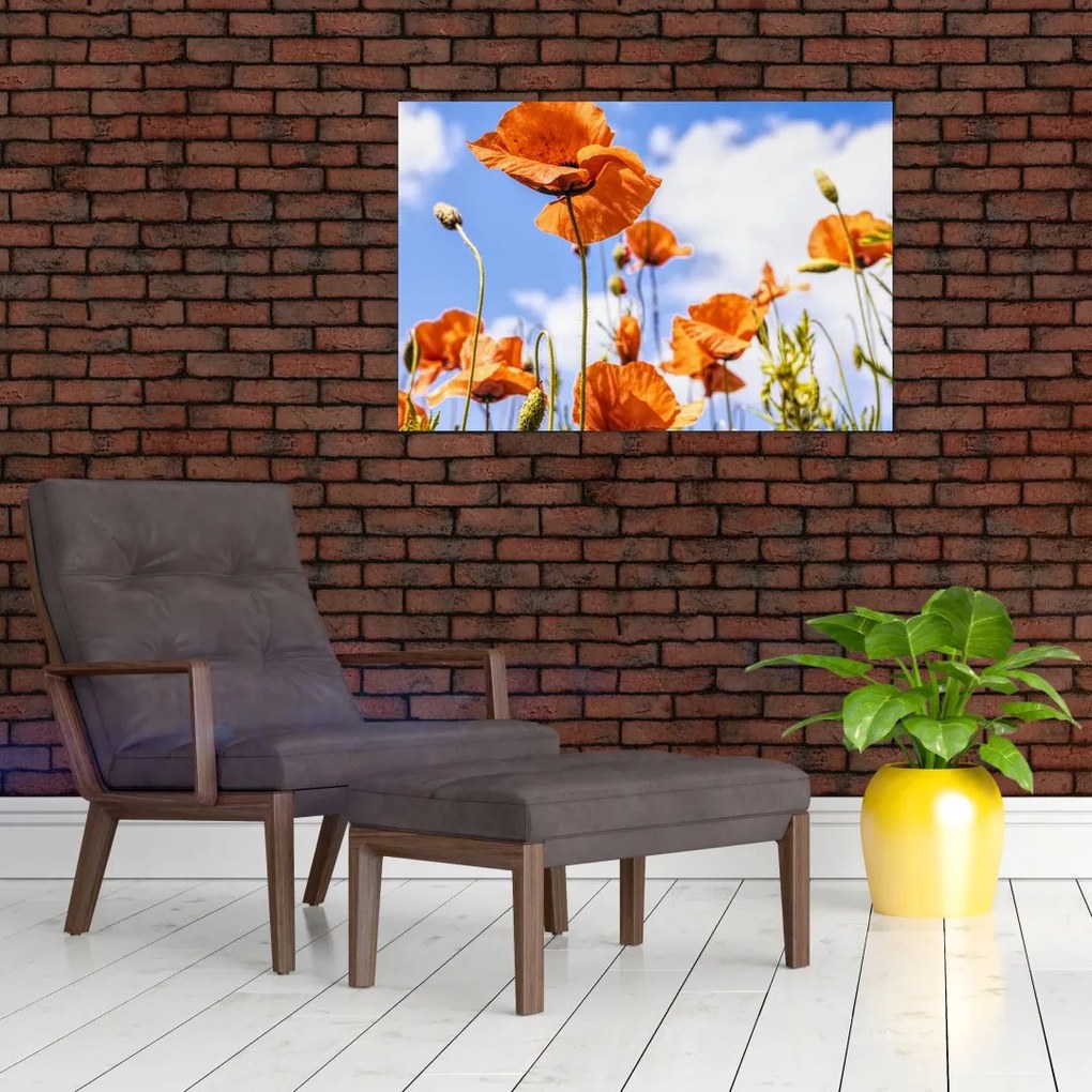 Tablou cu macii (90x60 cm)