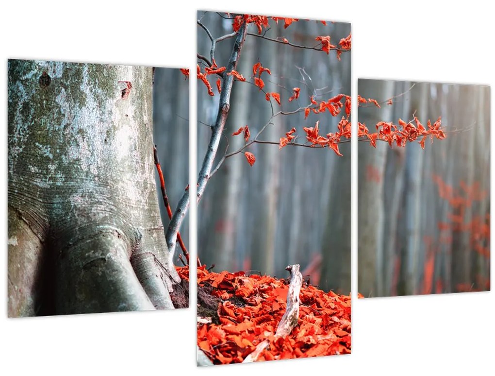 Tablou - Toamna (90x60 cm)