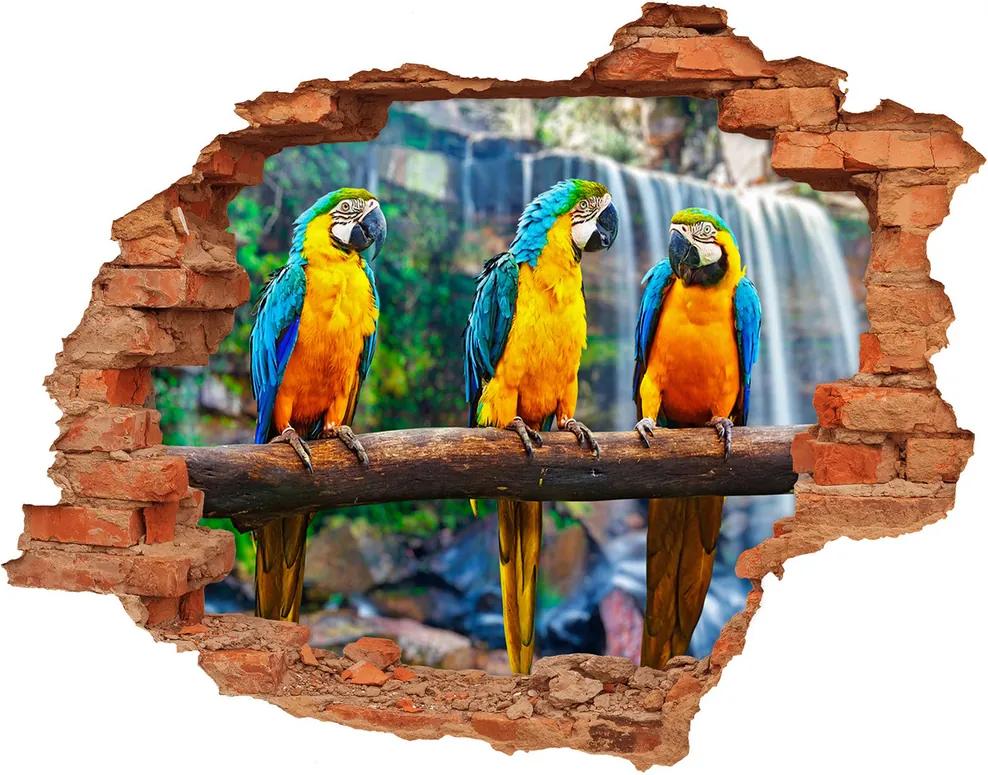 Autocolant 3D gaura cu priveliște Papagalii pe o ramură