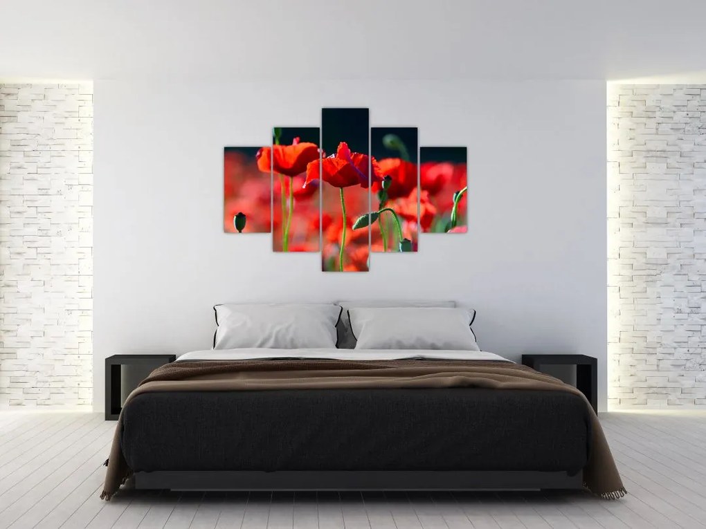 Tablou - flori de maci (150x105 cm)