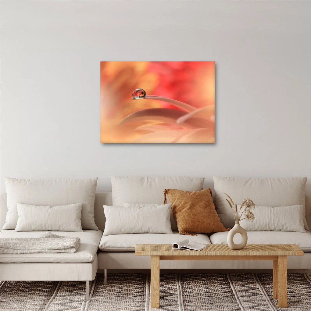 Tablou picăturii de rouă pe floare (70x50 cm)