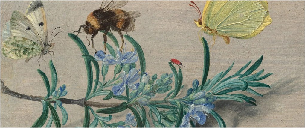 Tablou - Jan van Kessel the Elder, Insects and a Sprig of Rosemary, reproducere (120x50 cm)