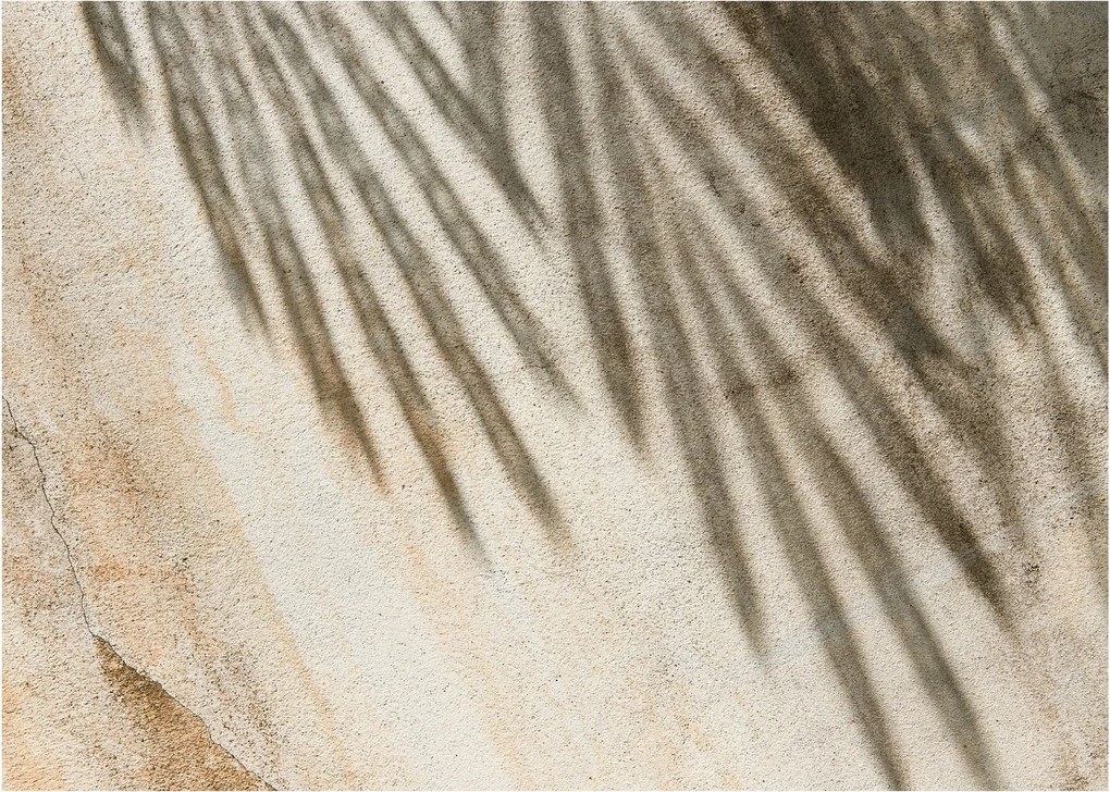 Tablou - Umbre (70x50 cm)