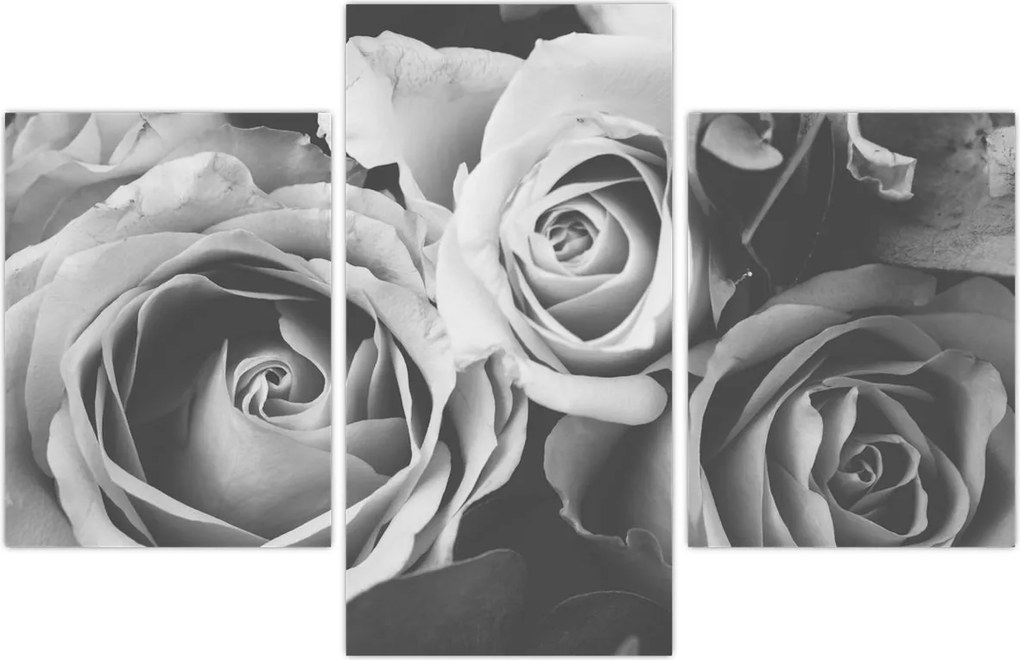 Tablou - Trandafir,alb-negru (90x60 cm)