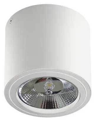 Spot aplicat directionabil de tavan/plafon ALIX alb ZZ AZ3541