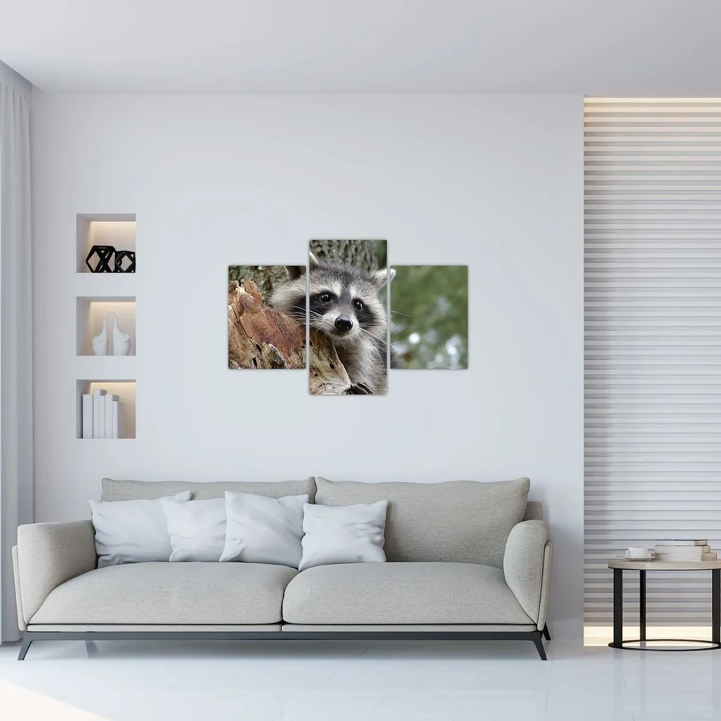 Tablou - Raton (90x60 cm)