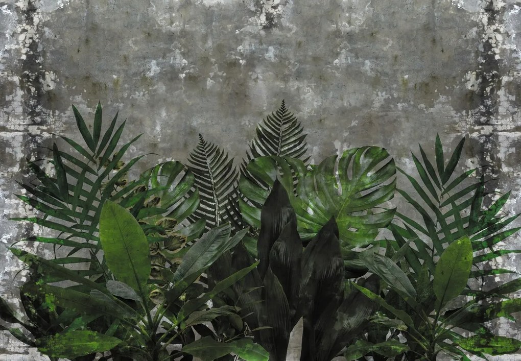 Fototapet - Perete de beton cu plante (147x102 cm)
