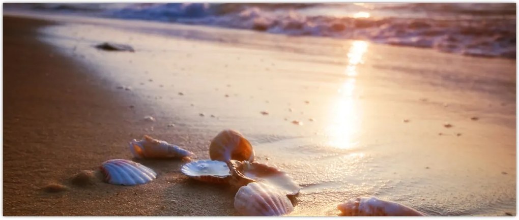 Tablou - Scoici (120x50 cm)