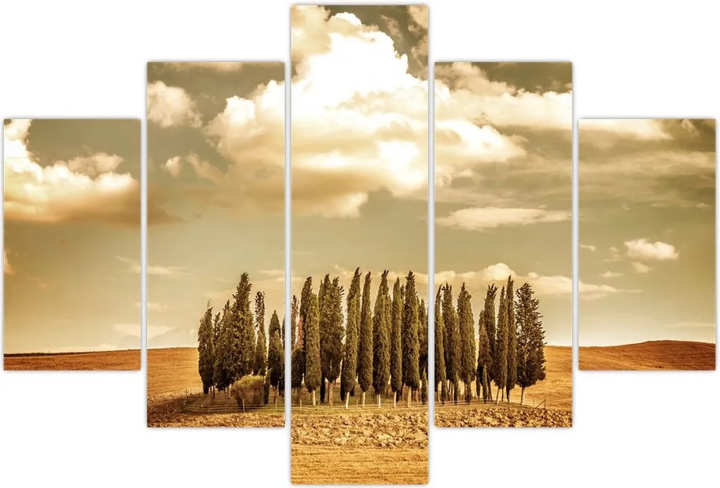 Tablou cu luncă (150x105 cm)