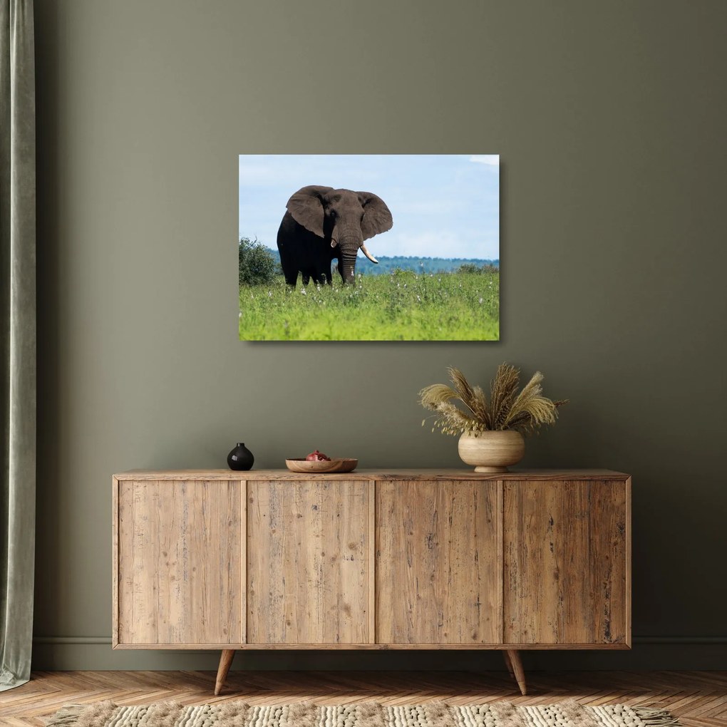 Tablou pe sticlă cu elefant (70x50 cm)