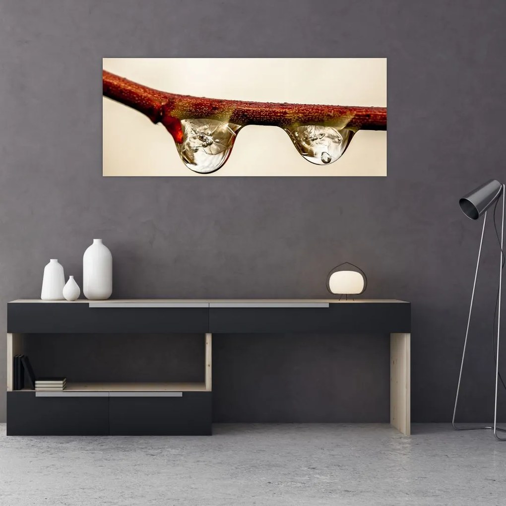 Tablou cu picături de apă pe creangă (120x50 cm)