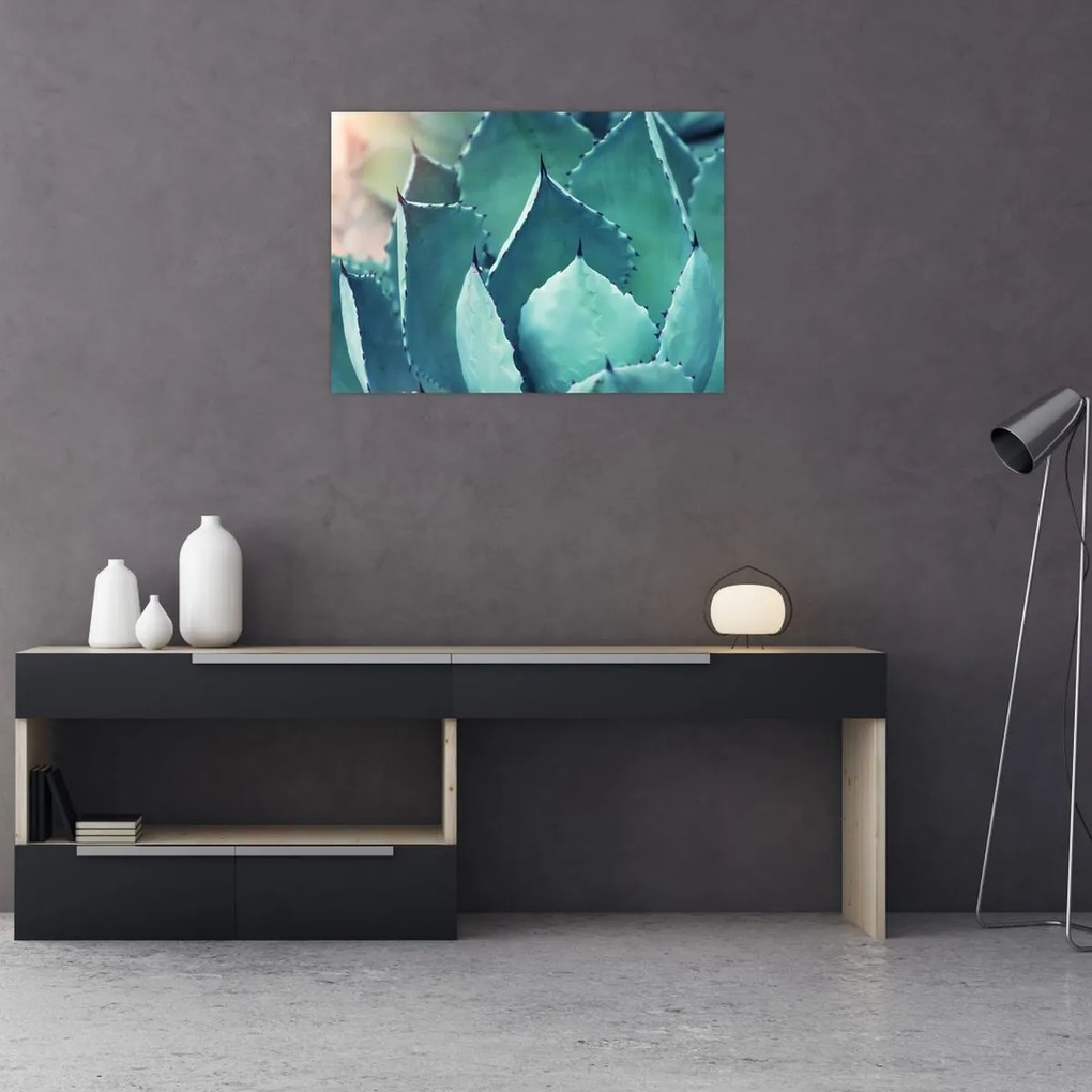 Tablou - Suculent (70x50 cm)