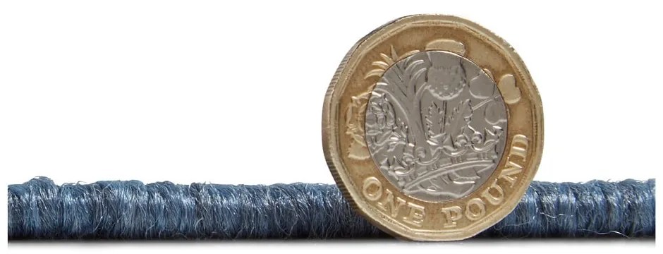 Covor de exterior albastru/bej 230x160 cm Santa Monica - Think Rugs