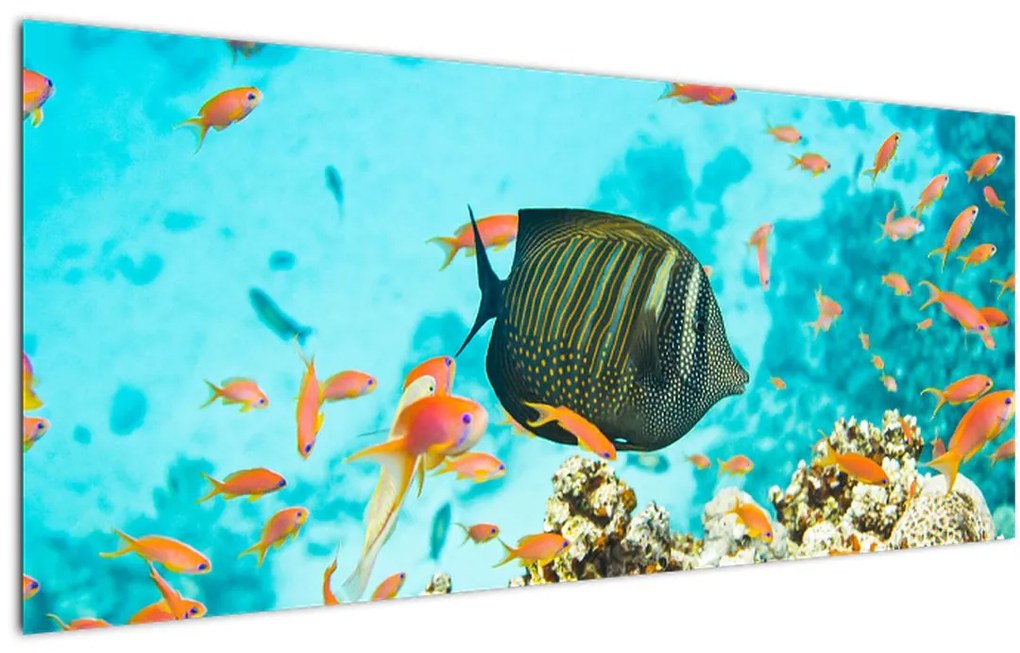 Tablou lumii submarine (120x50 cm)